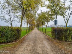 Afumati Teren intravilan de vanzare Cartier rezidential deosebit